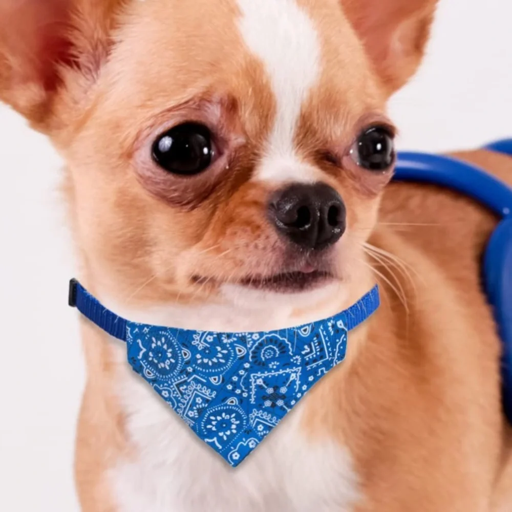Red bandana dog or cat collar